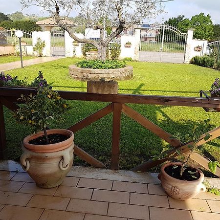 Apartament Rifugio Dell'Airone Capodimonte Zewnętrze zdjęcie